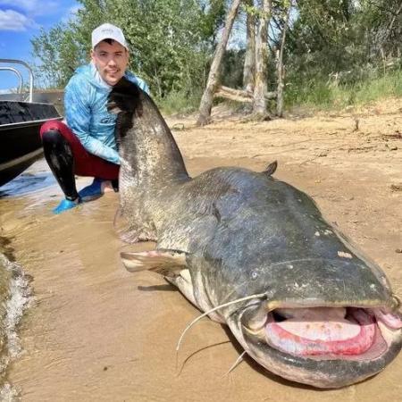 Зоолог КФУ рассказал о местах обитания крупных сомов в Татарстане Зоолог КФУ рассказал о местах обитания крупных сомов в Татарстане