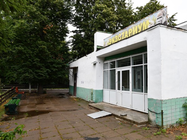 Австралийские палочники стали новыми обитателями казанского зооботсада