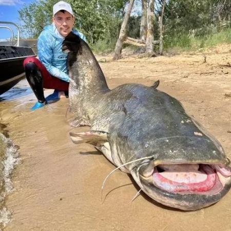 В Татарстане рыбак поймал сома весом 90 кг