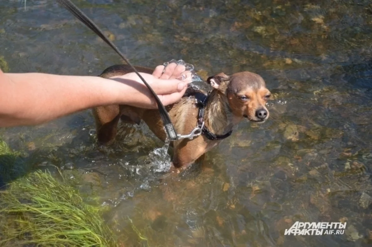 
        Татарстанцам пообещали жару до 36 градусов    