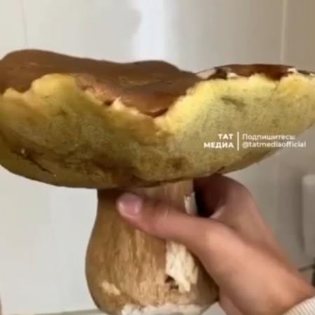 Житель Татарстана нашел гигантский белый гриб