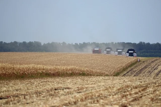 
        Народ Афганистана поздравил татарстанцев с днем республики    