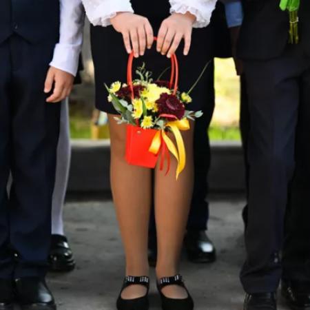 В Госдуме напомнили о льготах для многодетных семей к 1 сентября