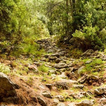 Что могло случиться с россиянкой, пропавшей в Турции