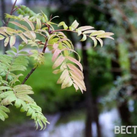 В Татарстане сентябрь ожидается теплее нормы на один градус