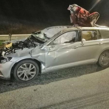 В Татарстане водитель иномарки скончался после столкновения с лосем