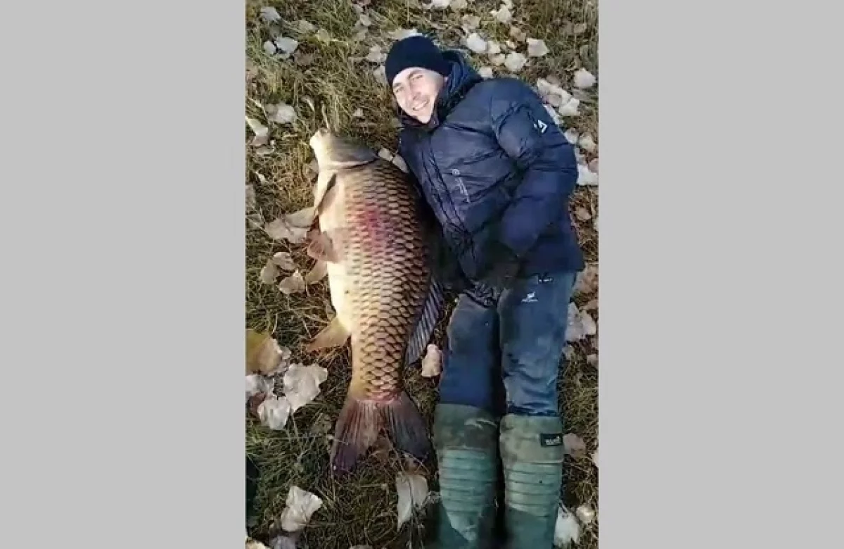 
        Татарстанец выловил в озере 29-килограмового карпа    