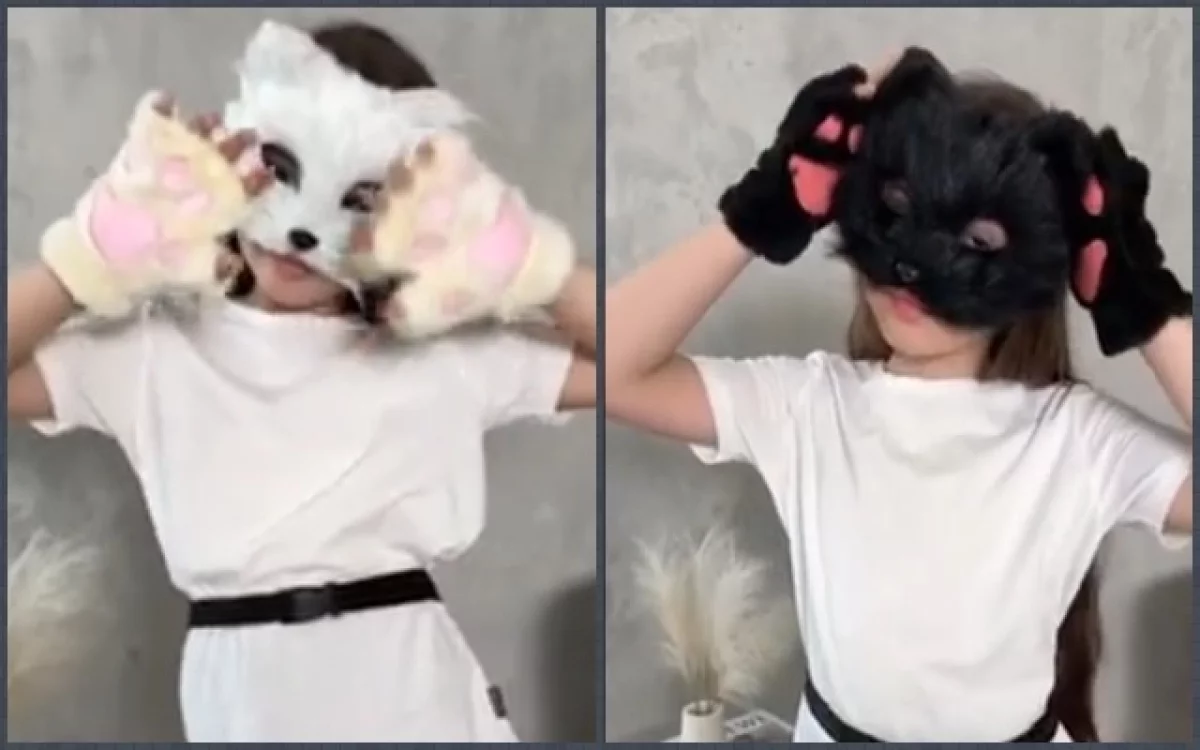 Чипировать и вакцинировать? Что планируют делать с квадроберами
Чипировать и вакцинировать? Что планируют делать с квадроберами