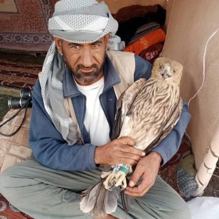 Солнечный орел из Татарстана оказался на зимовке в Саудовской Аравии (ФОТО)