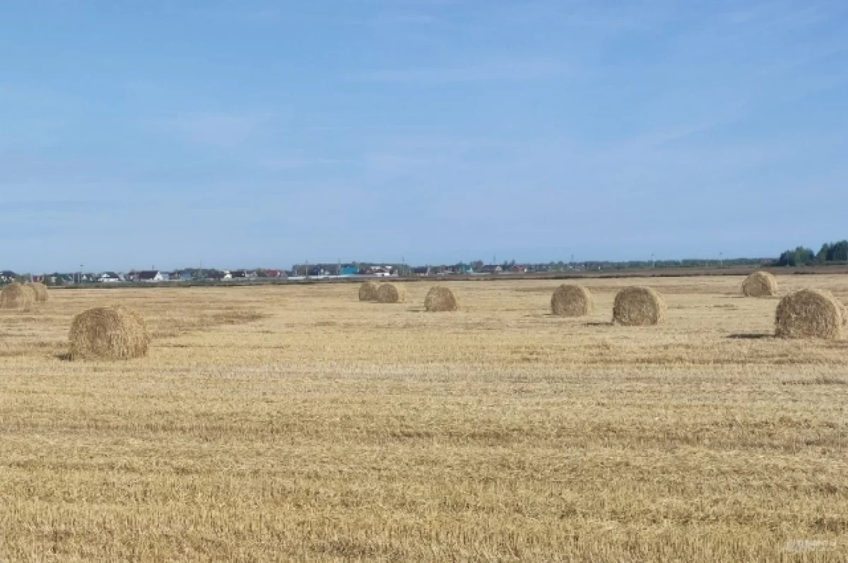 В Татарстане огонь с сеновала уничтожил шесть хозпостроек
В Татарстане огонь с сеновала уничтожил шесть хозпостроек