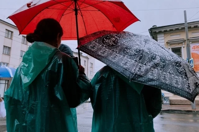 Эксперт рассказал, когда в Татарстане выпадет первый снег
Эксперт рассказал, когда в Татарстане выпадет первый снег