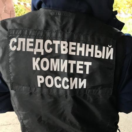 Уфимец едва не убил уборщицу из-за кота: женщина в коме