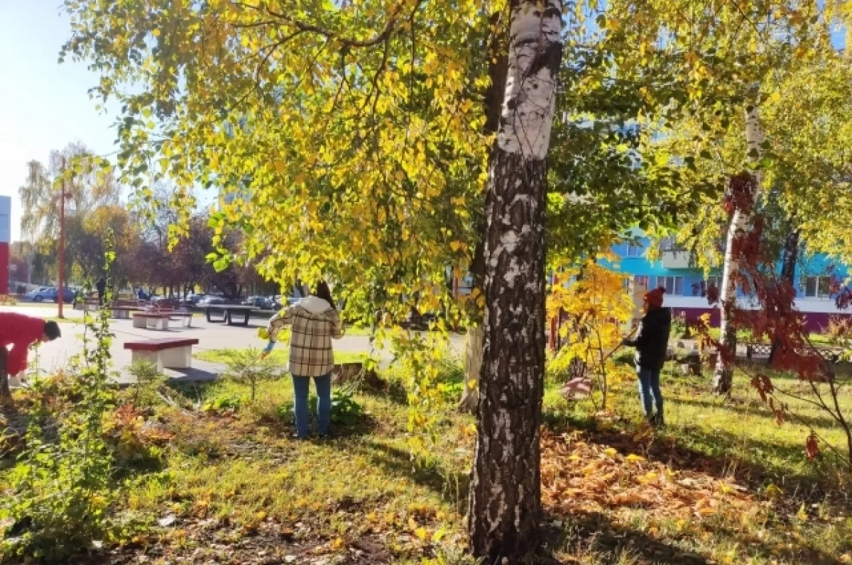 
В Набережных Челнах провели общегородской субботник    