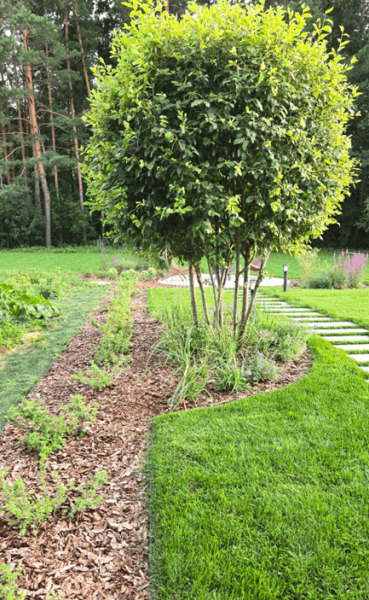 Сколько стоит сад построить? Сколько стоит сад построить?