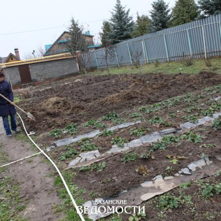 Пришла пора готовить сад к зиме Пришла пора готовить сад к зиме