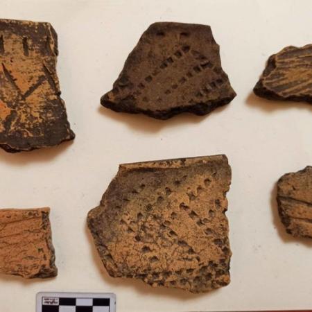 В Татарстане во время раскопок нашли артефакты бронзового века