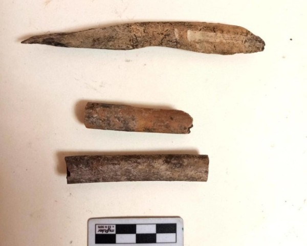 В Татарстане во время раскопок нашли артефакты бронзового века