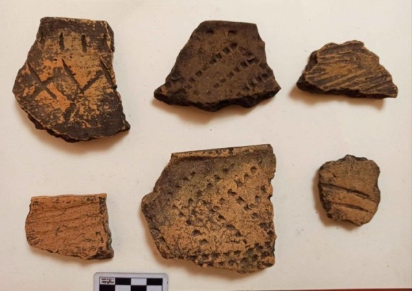 В Татарстане во время раскопок нашли артефакты бронзового века