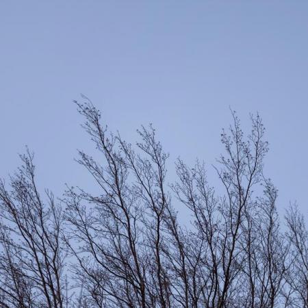 В Татарстане 1 января ожидается сильный ветер