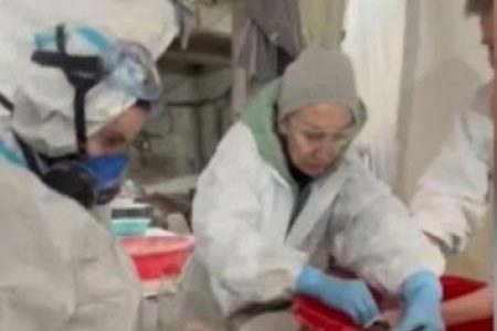 Жительница Елабуги отправилась в Анапу для помощи пострадавшим от экологической катастрофы птицам