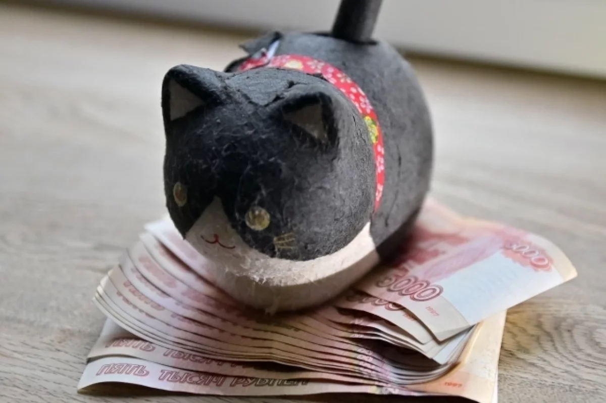 Эксперты выяснили, на что копят деньги российские семьи
Эксперты выяснили, на что копят деньги российские семьи