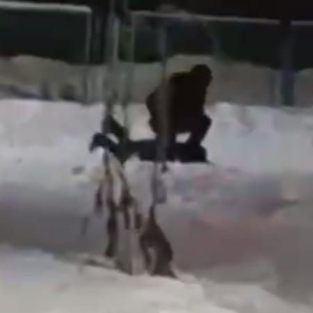 Челнинец, который хватал за шкирку и бросал ребенка в снег, оказался отцом мальчика