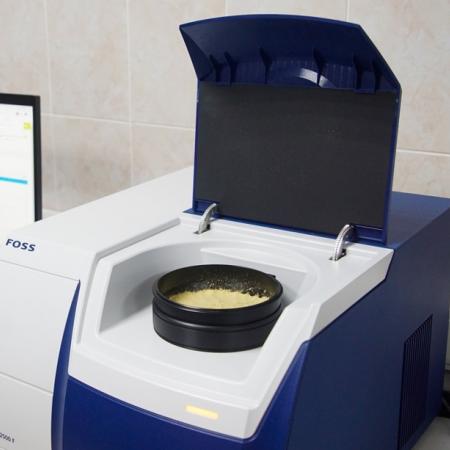 Специалисты «Элиты» рассказали, какую ценность представляет кукуруза для жвачных