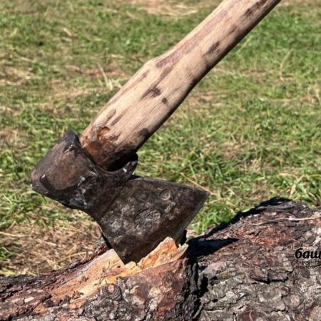 Жительница Башкирии жестоко убила мужа, сына и знакомую