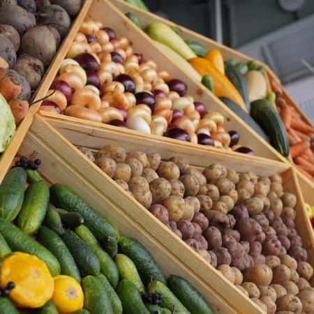 В Татарстане с 15 марта стартуют традиционные сельскохозяйственные ярмарки