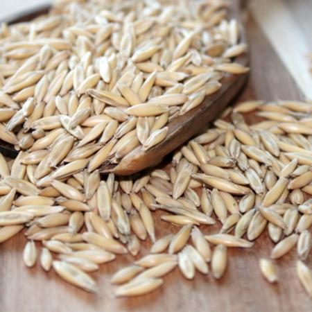 Первая партия овса из Республики Татарстан отправлена на экспорт в Китай