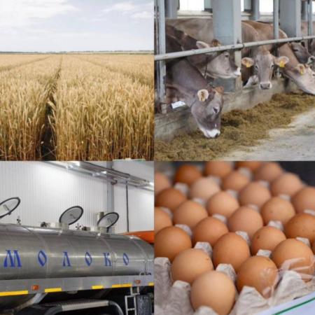 Минсельхозпрод объявил о проведении республиканских конкурсов по малым формам хозяйствования Минсельхозпрод объявил о проведении республиканских конкурсов по малым формам хозяйствования