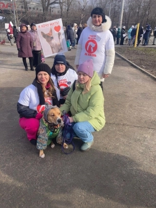 
        Сегодня собак, завтра стариков усыплять? В Казани прошел пикет зооактивистов    