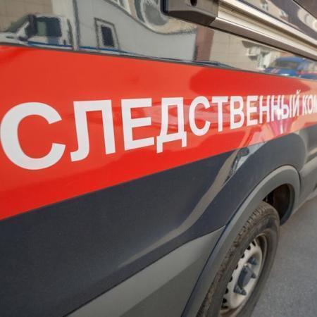 Бастрыкину доложат о деле с похищением подростка в Казани