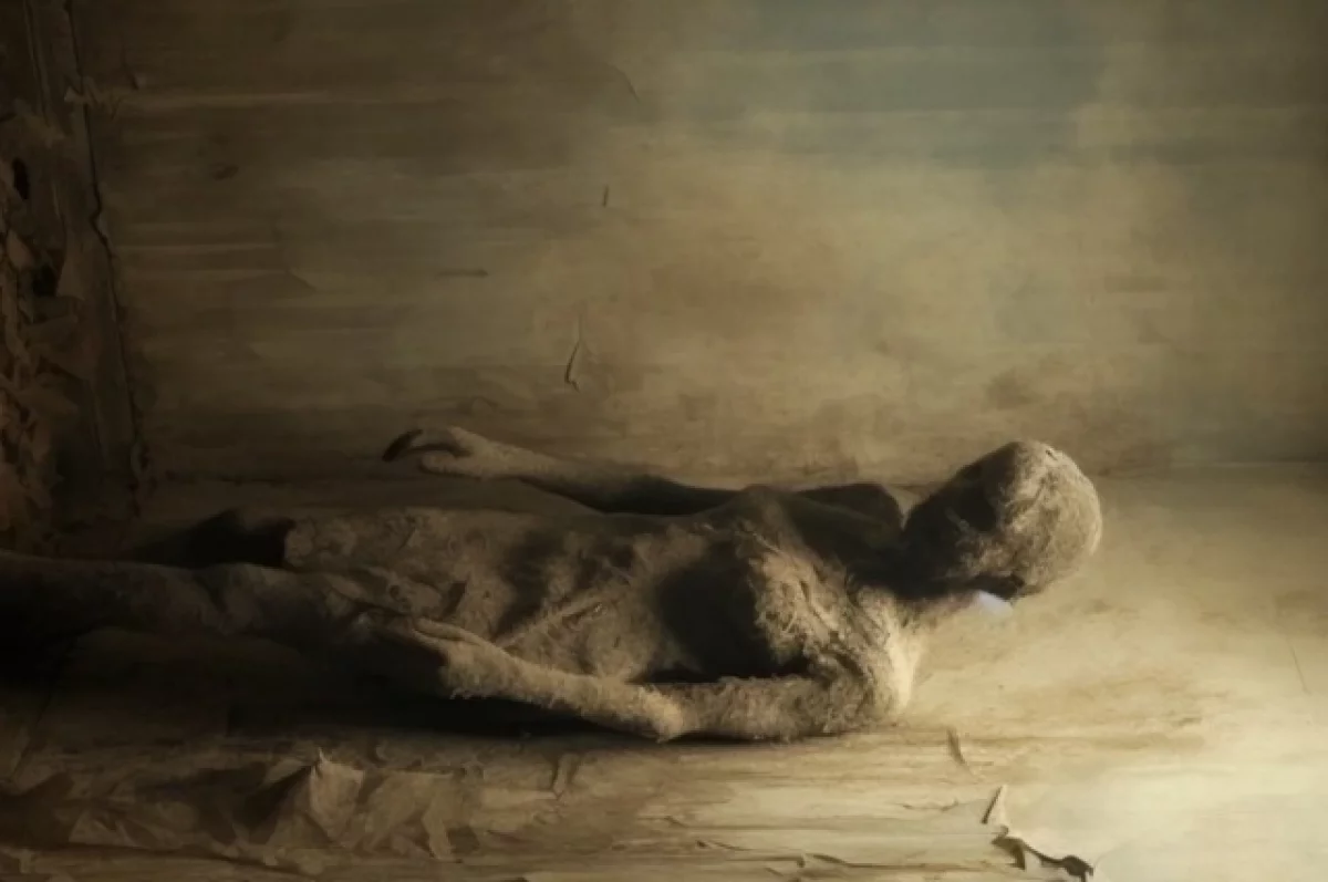 
        В чате не значился. В Казани коммунальщики вскрыли дверь и нашли мумию    