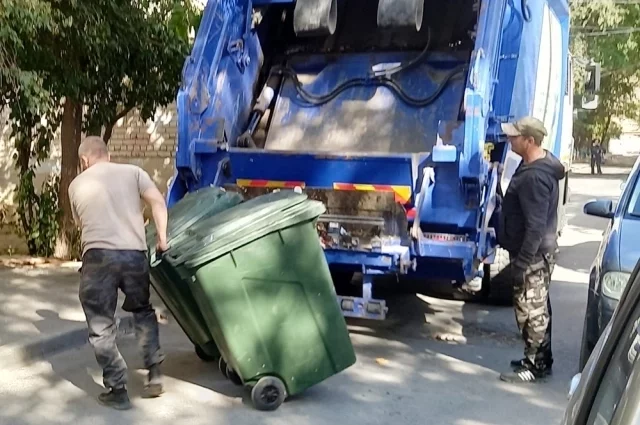 
        Редкие соколы-балобаны впервые за полвека дадут потомство в Татарстане    