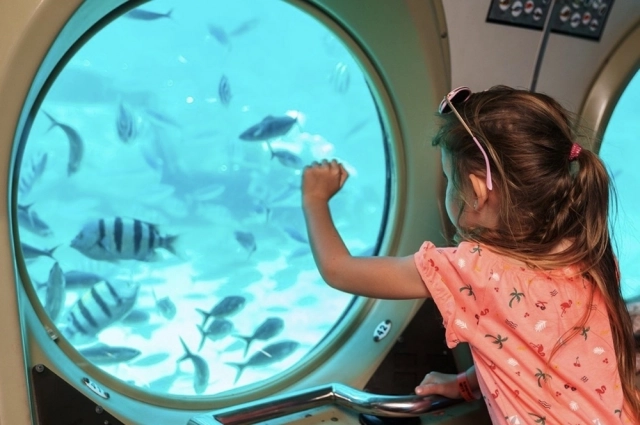 
        До последнего верила в чудо. Врач, которую считали погибшей в Египте, выжила    