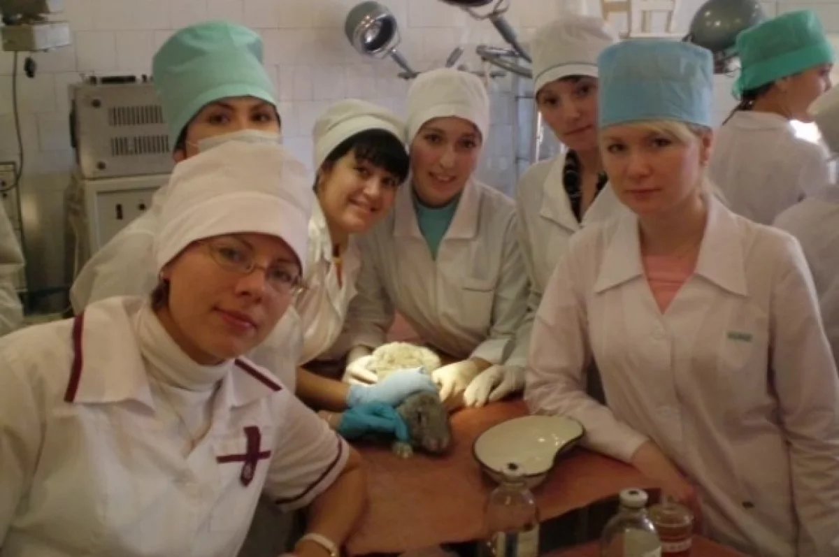 
        До последнего верила в чудо. Врач, которую считали погибшей в Египте, выжила    