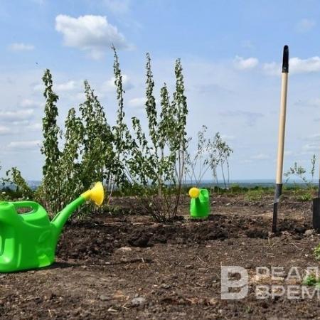 Эксперт рассказал о штрафах за нескошенную траву на дачном участке