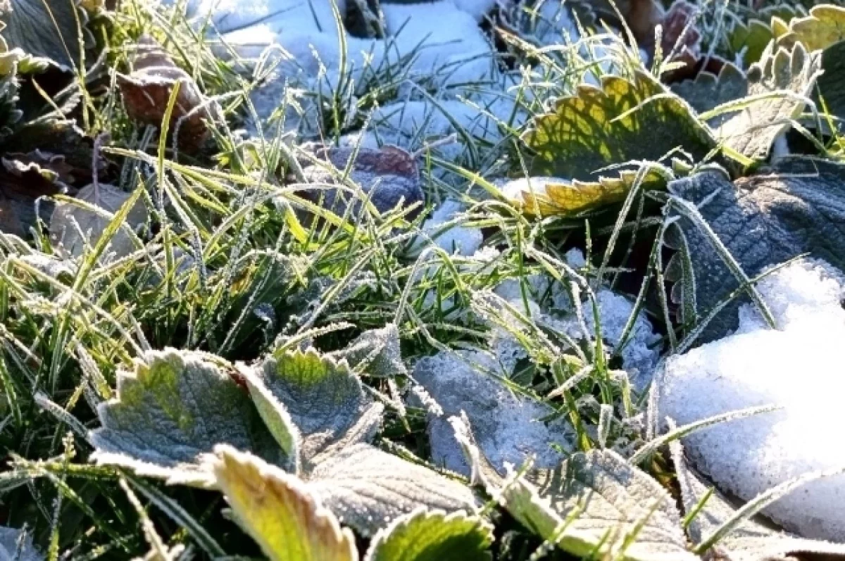 В Татарстане ожидаются заморозки на поверхности почвы
В Татарстане ожидаются заморозки на поверхности почвы