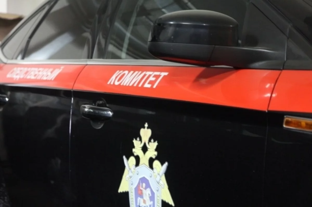 
        СК возбудил уголовное дело по факту убийства женщины в Казани экс-мужем    