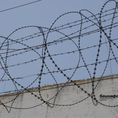 Жительница Башкирии убила супруга, подругу и собственного сына