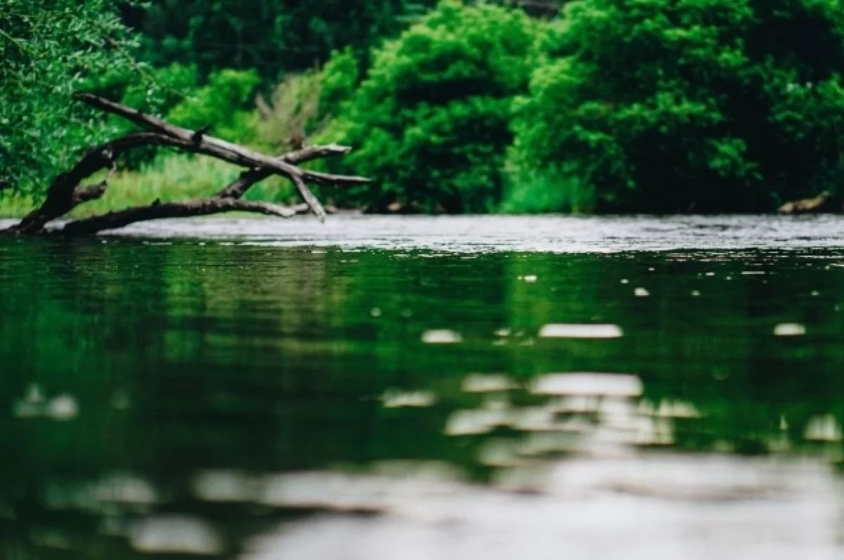 
        Подросток утонул в пруду в Богатых Сабах    