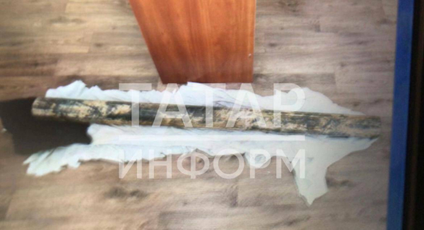 В Татарстане пьяная женщина забила мужа металлической трубой