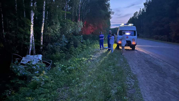 Ребенок и мужчина погибли в результате ДТП с лосем в Башкортостане