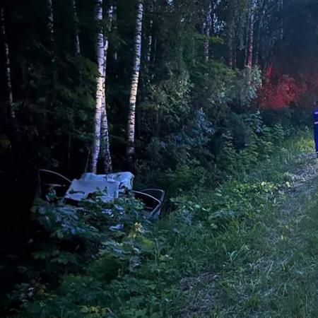 Ребенок и мужчина погибли в результате ДТП с лосем в Башкортостане