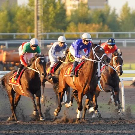 В Татарстане в третий раз пройдут скачки на приз Президента России