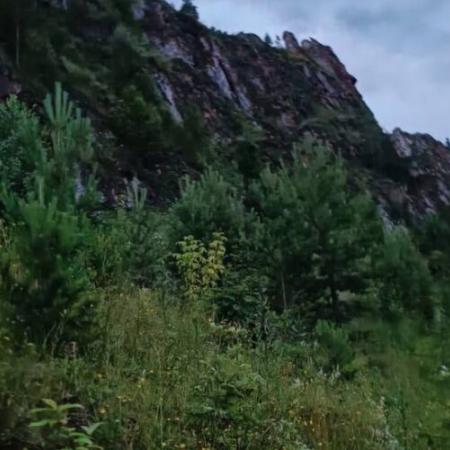 Погибла на глазах у друзей: вечерняя прогулка подростков обернулась страшной трагедией