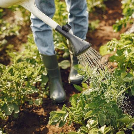 Дачников предупредили о штрафе, которого никто не ожидает