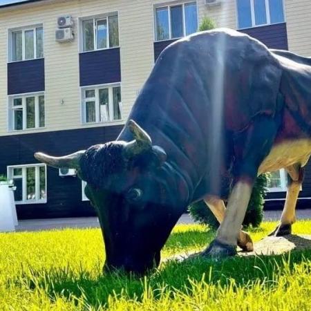«Элита» поможет улучшить генетику вашего стада «Элита» поможет улучшить генетику вашего стада