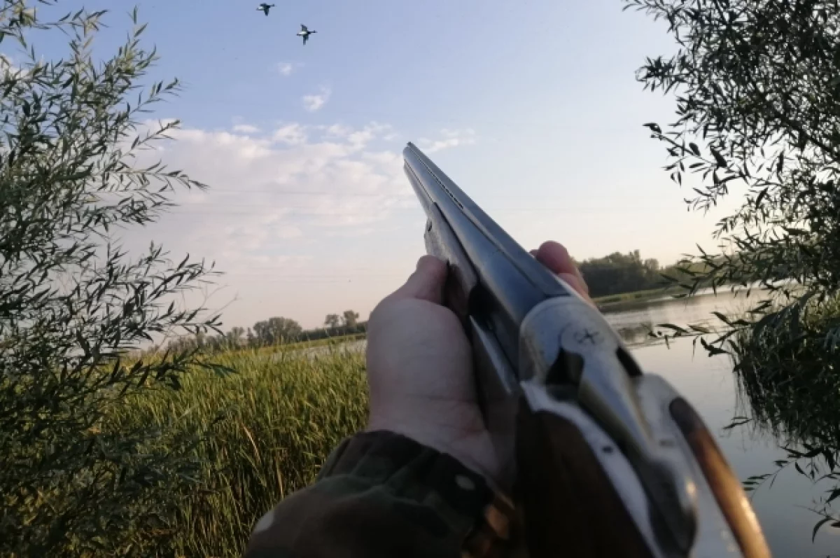 
        В Татарстане открылся сезон охоты на болотно-луговую дичь    